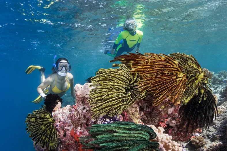 Taman Nasional Wakatobi